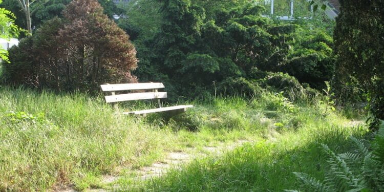 Dordrecht council opened coffins without telling relatives