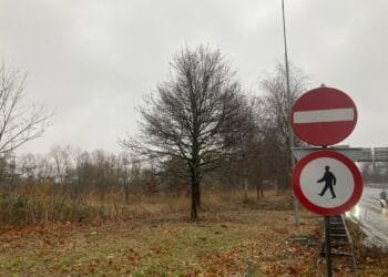 Amsterdam erotic centre decision after local elections in March