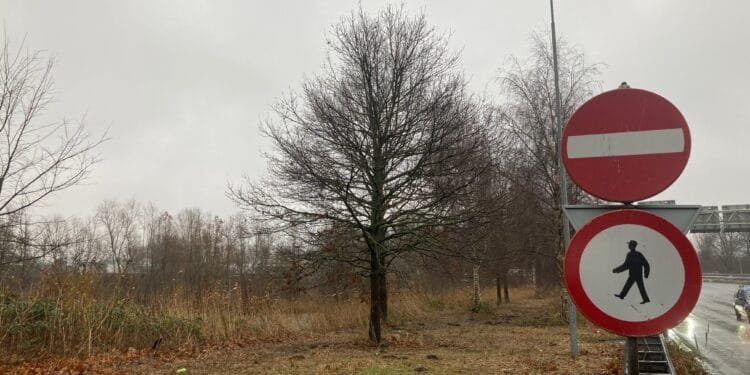 Amsterdam erotic centre decision after local elections in March