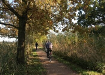 APG to cut up to 1,200 jobs as new pension system looms