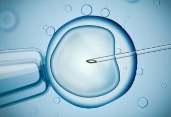 MPs back legislation to lift ban on growing embryos for research
