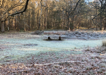 It will turn colder from Saturday but no white Christmas ahead