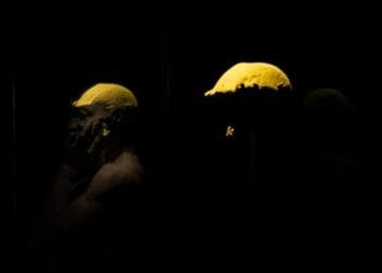 Dutch return Homo Erectus skull cap and tooth to Indonesia