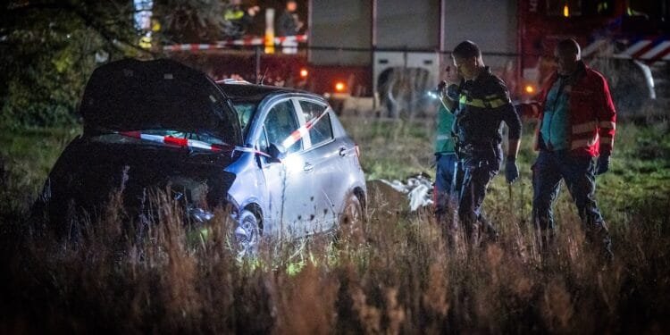 Nine injured as car plows into crowd watching light parade