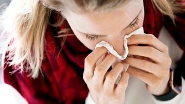 hazelaars bloeien eerder dan ooit