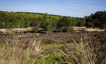 derde droogste jaar van deze eeuw