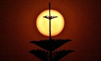 meerdere doden bij schietpartij Bondi Beach in Sydney