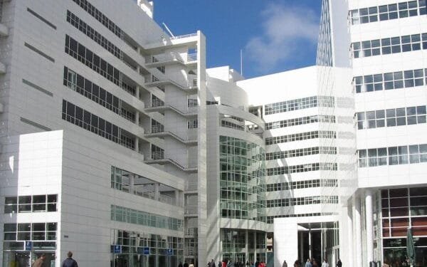 One in seven Dutch councillors quit mid-term over workload