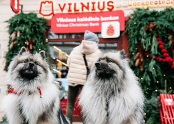 Metro bezoekt Vilnius, de kersthoofdstad van het jaar