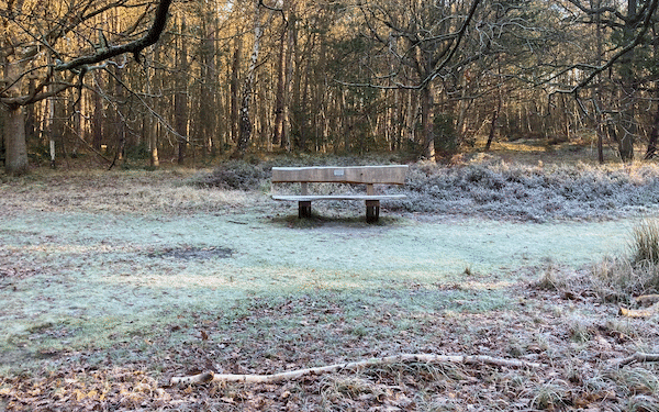 Sunny but bitterly cold Christmas, milder weekend with cloud