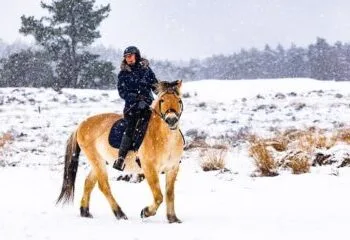 Snow set to continue until Tuesday, more flights cancelled