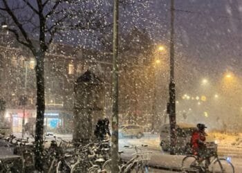 Why does the Netherlands seize up at the first sign of snow?