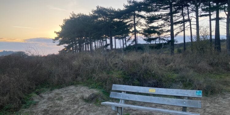 Sunny weather to start the week, with frosty nights ahead