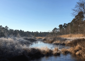 Code amber weather warning for the north, as freezing rain hits