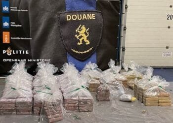 Customs seize less cocaine but cannabis shipments surge