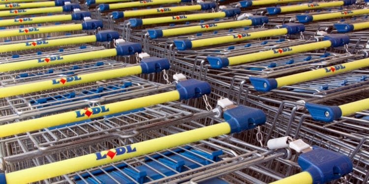 Lidl NL, Albert Heijn and Jumbo top green supermarket ranking