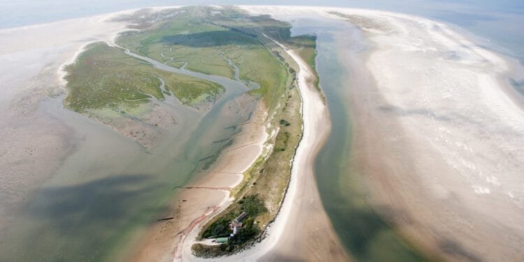 Car container ship stranded in Wadden sea after engine fire