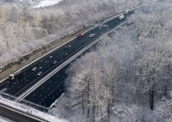 MPs reject plans to expand A27 by cutting down more trees