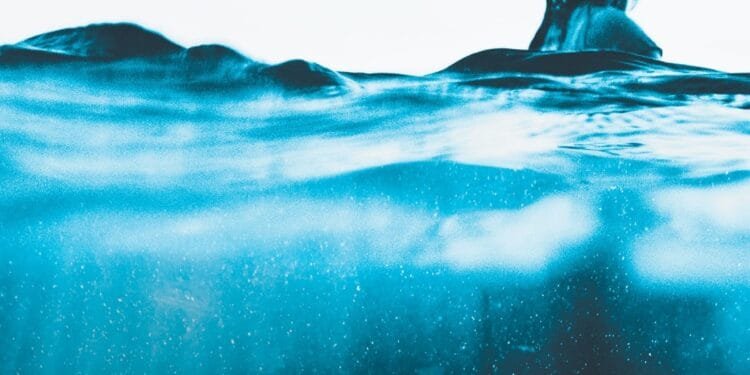 In Ascension: a good read but too murky to be great