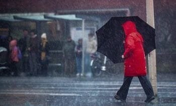 Nederland kan volgens onderzoek extreme regen niet aan