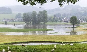 Dit wordt het weer in Zuid-Nederland komende week