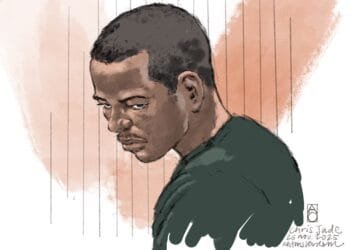 Man accused of rapes, and killling Lisa, confesses to the crimes