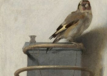 Birds and the bees: Mauritshuis show explores avian inspiration