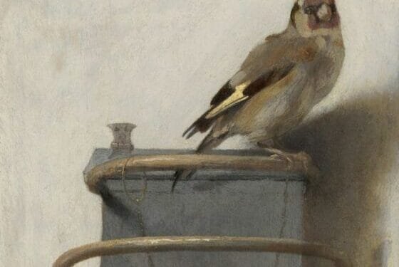 Birds and the bees: Mauritshuis show explores avian inspiration