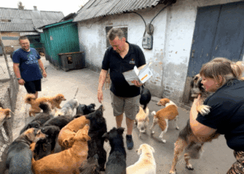 From serving fries in the Netherlands to saving lives in Ukraine