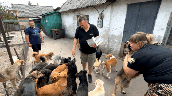 From serving fries in the Netherlands to saving lives in Ukraine