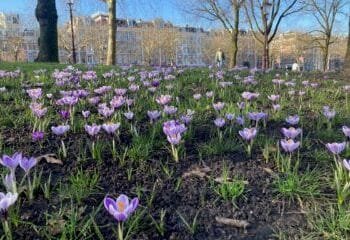 Spring fever? Temperatures rise to almost 20° in Limburg