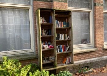 Forget bikes: why does the Netherlands have so many minibiebs?