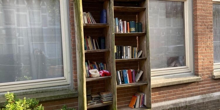 Forget bikes: why does the Netherlands have so many minibiebs?