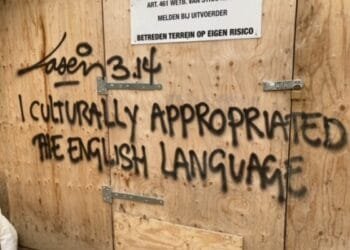 Local election watch: housing and litter dominate in Amsterdam