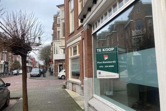 Local election watch: Housing crisis is main issue in The Hague