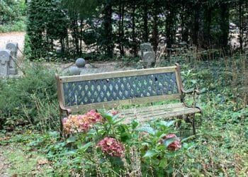 More people in NL are choosing to die by starving themselves