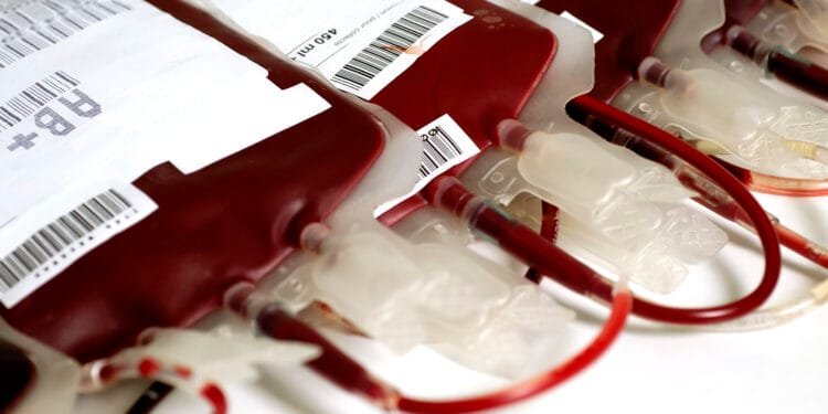 Call for more blood and organ donors from minority ethnic groups