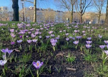 The best of this week’s weather is on Wednesday, at up to 18°