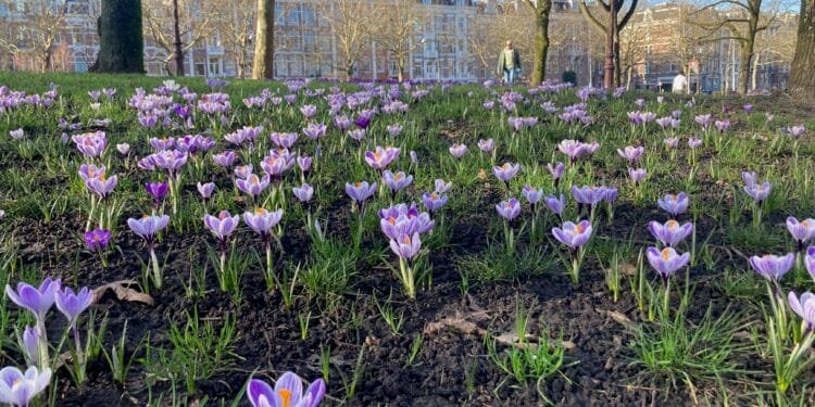 The best of this week’s weather is on Wednesday, at up to 18°