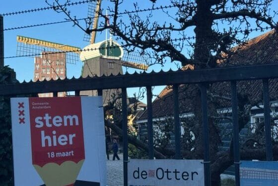 The results in the big five cities show stability on the left