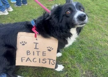Americans turn out for “No Tyrants” protest in Amsterdam