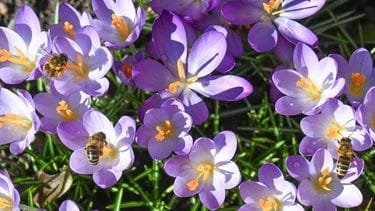 Herfst komt de lente even verdringen: regenkleding uit de kast