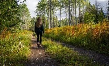 hoe natuur je mentale gezondheid boost