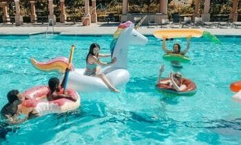 dit zijn de populairste opties