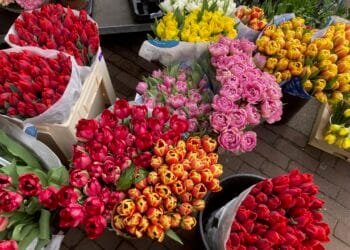 Summer is heading our way next week, and Easter will be sunny