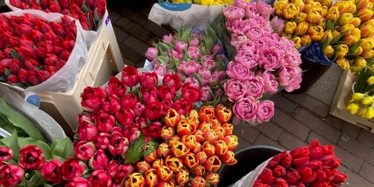 Summer is heading our way next week, and Easter will be sunny