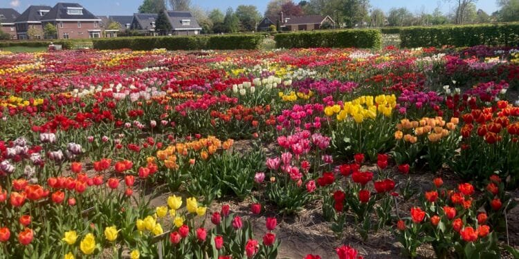 A few days of summer ahead, but showers likely later