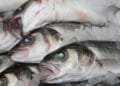 Two out of three fishmongers don’t comply with food safety rules