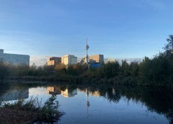 Fewer foreign firms set up operations Amsterdam last year