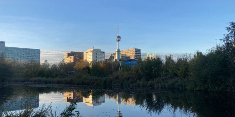 Fewer foreign firms set up operations Amsterdam last year